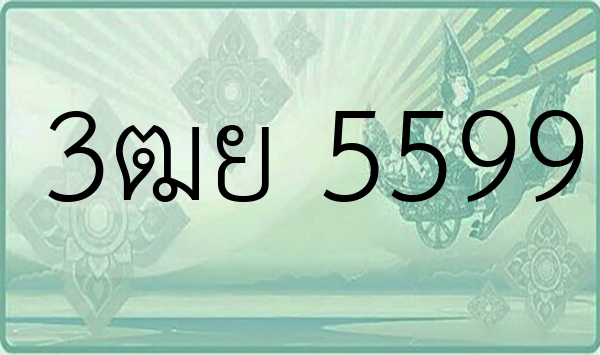 3ฒย 5599